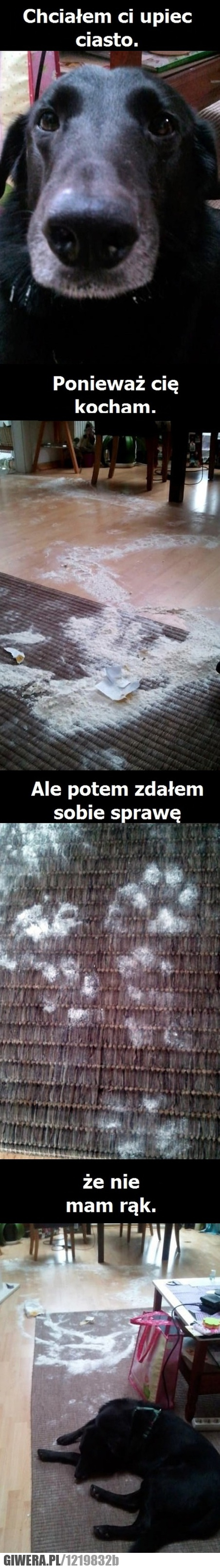 pies,ciasto,miłość,mąka