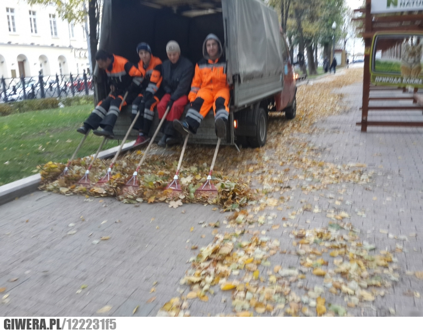 Sprzątanie,Moskwa,Liście