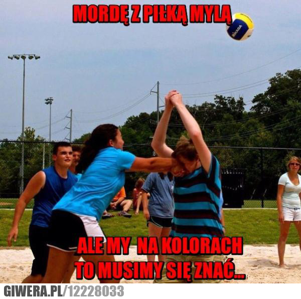 siatkówka,piłka,morda,kolory