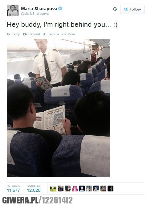 Maria Sharapova,gazeta,tenisistka,samolot