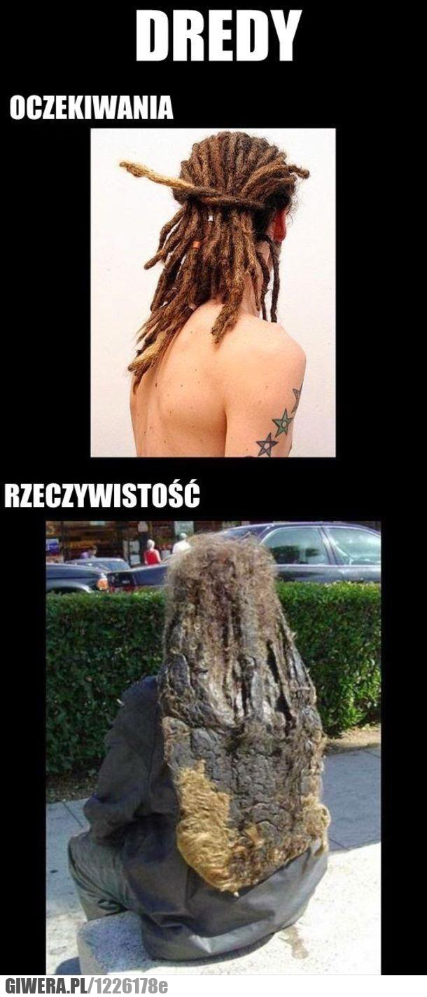 Dredy