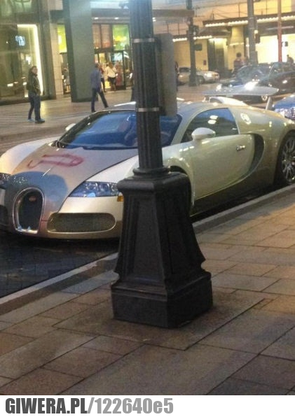 bugatti veyron,karny kutas