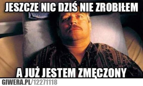 dzień świra,lenistwo,zmęczenie