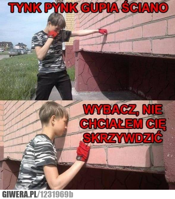 ściana,bokser,tynk,gimbus