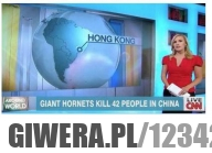 Amerykanie i ich pojęcie o geografii. Na żywo w CNN :)