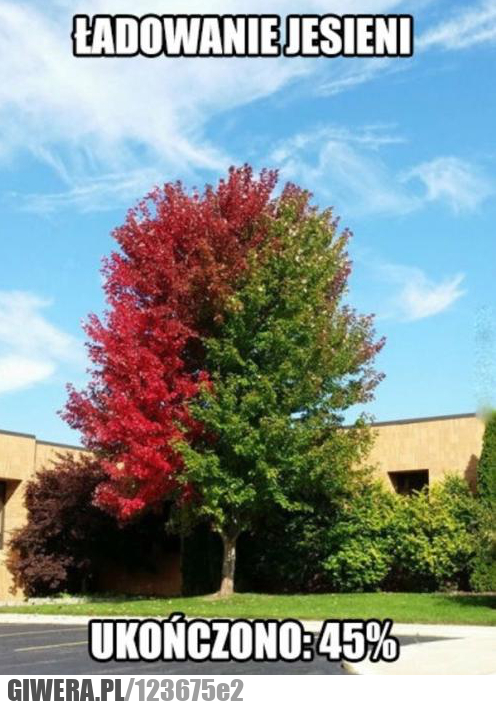 jesień