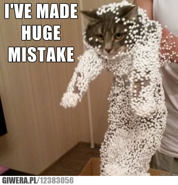 kot,styropian,kulki od styropianu