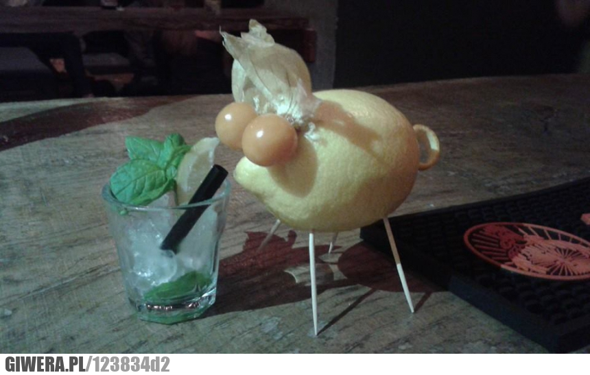 madżajto,drink,świnia,mojito