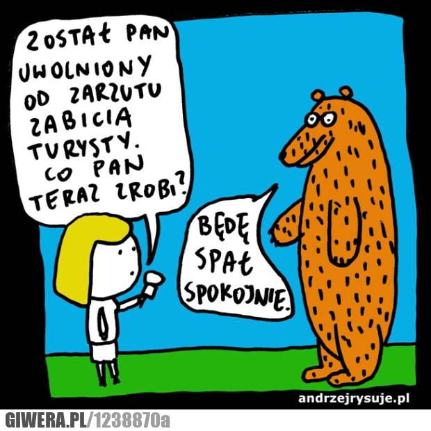 niedźwiedź,turysta,morderstwo,andrzejrysuje