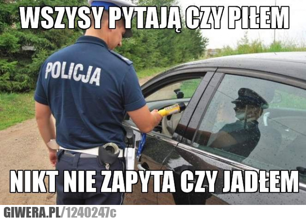 policja