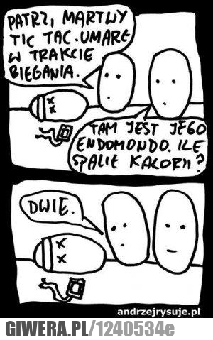 Tic Tac,endomondo,dwie kalorie