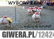 Wybory 2014