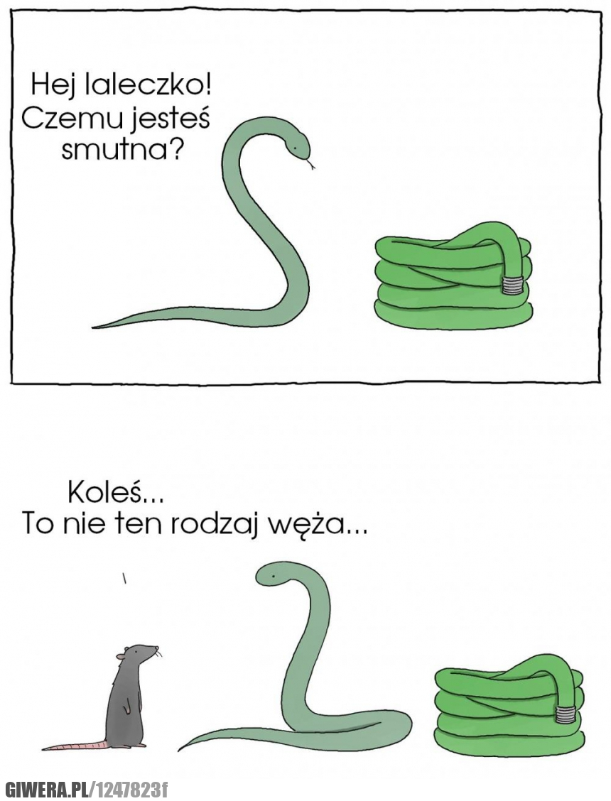 wąż,wąż ogrodowy,podryw