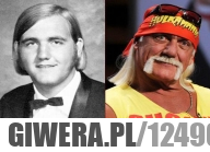 Hulk Hogan
