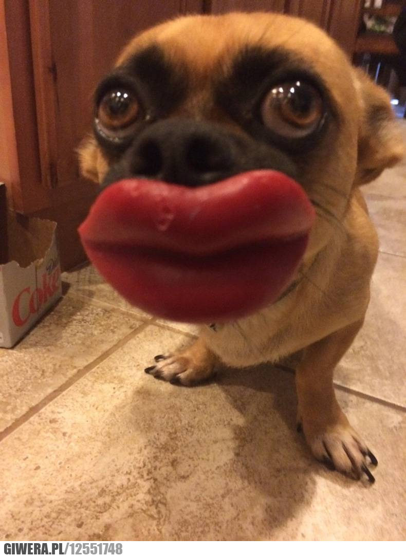 Он более смешной. Он более смешной. Картинки прикольные смешные. Он более смешной. Приколы с людьми.