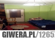 Do wynajęcia - Orzełek na dywanie