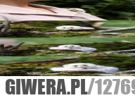 Zadowolony słodziak