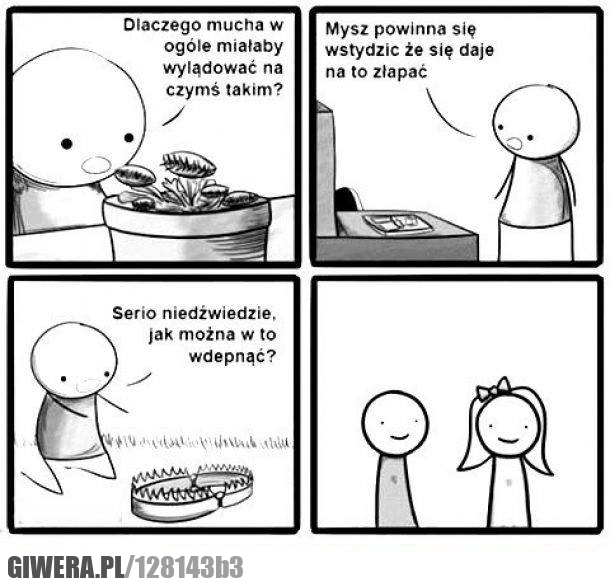 związek,sidła,mucha,pułapka