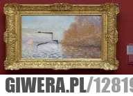 Koleś rozwalił obraz Moneta, wart bagatela... 8 mln$!