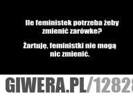 Ile feministek