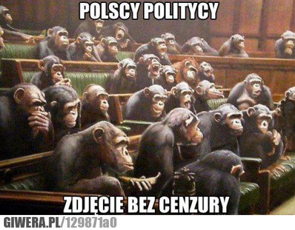 politycy