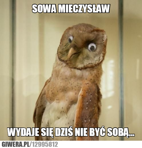 sowa, mieczysław