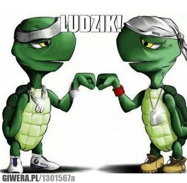 Ludzik,żółwik,żółw