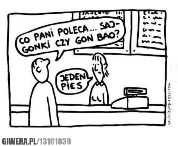 chińska,restauracja,pies