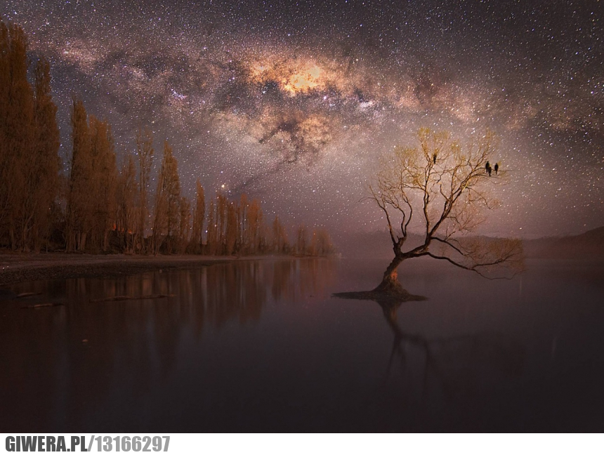 droga,mleczna,nowa zelandia