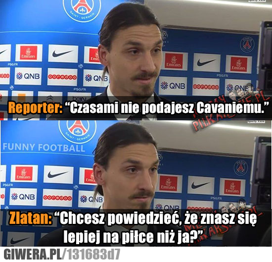 Ibrahimovic 