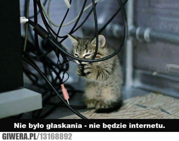 internet,
