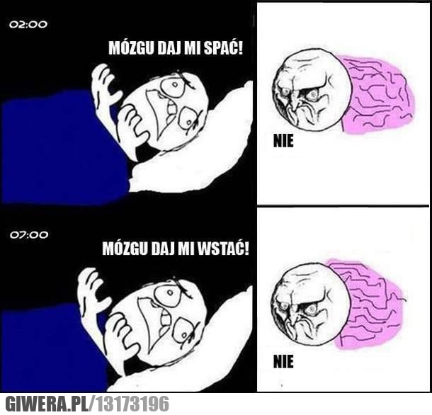 Mózg