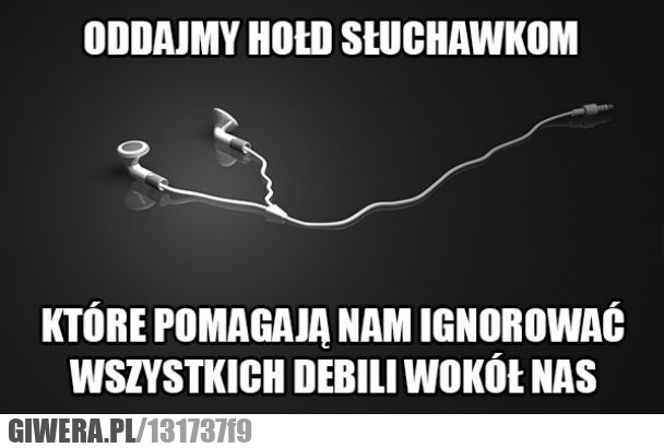 hołd,słuchawki,debile
