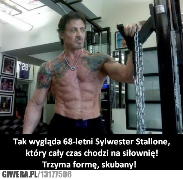 sylwester stallone