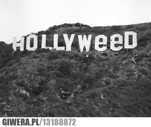 Hollywood,hollyweed
