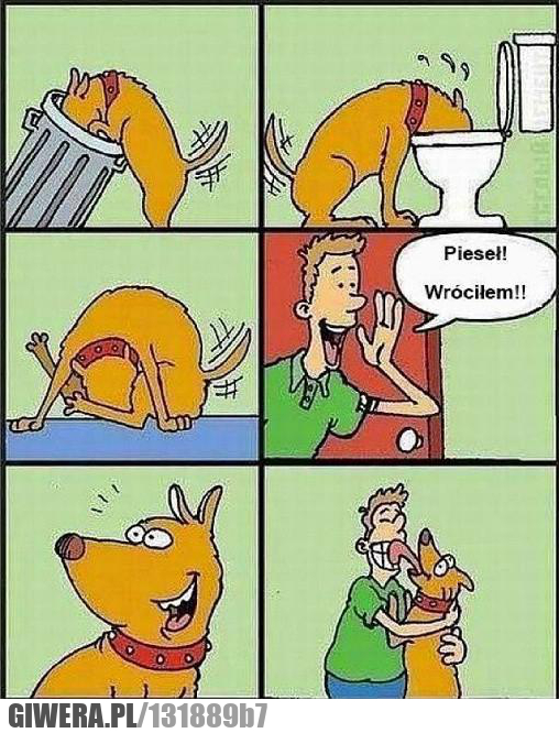 Pieseł,jajka,kibel,śmietnik,lizanie,twarz