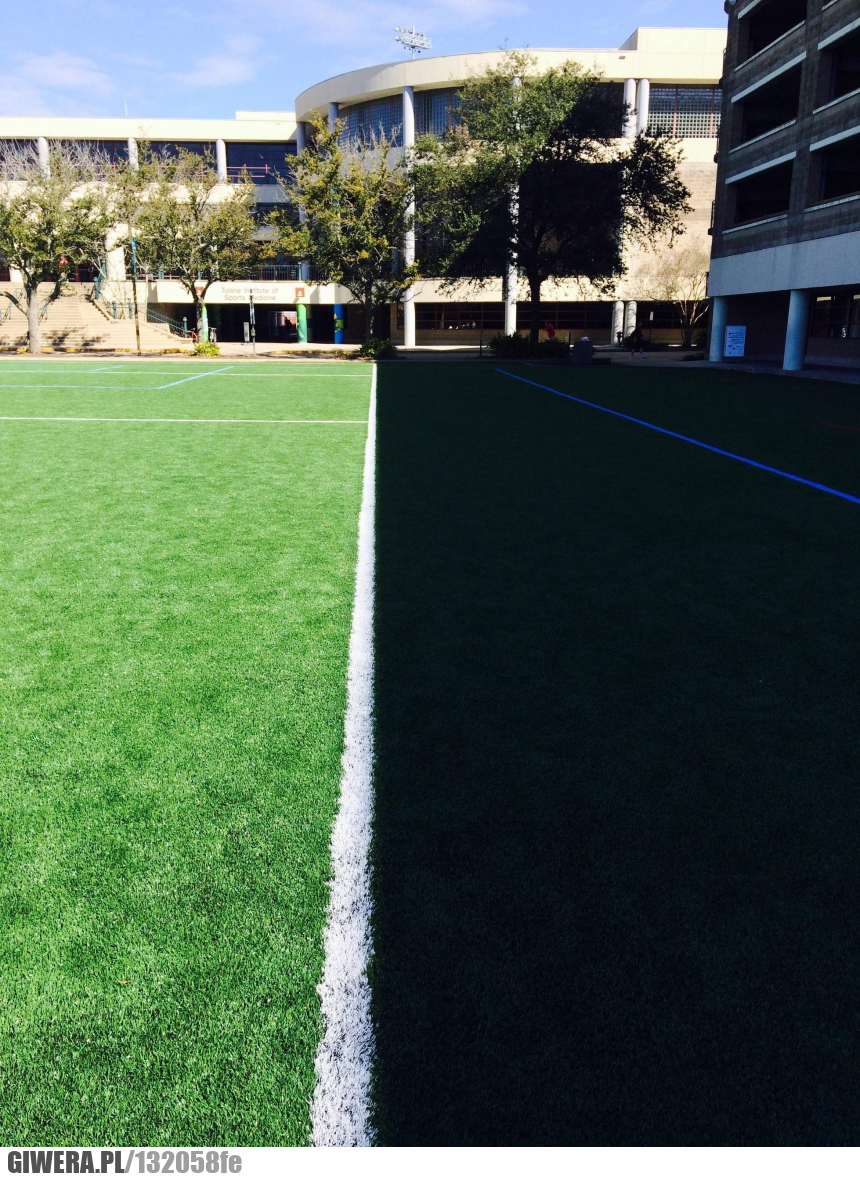 Niebo perfekcjonistów,cień,trawa