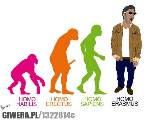 Homo Erasmus