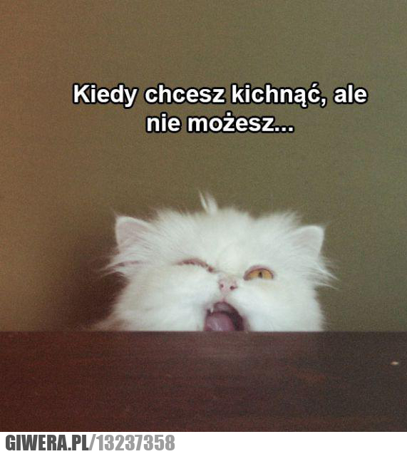 Kichanie
