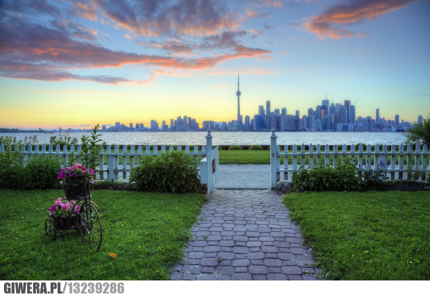 Toronto,ogród,earthporn