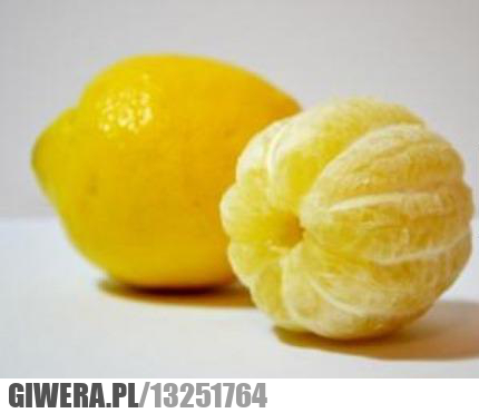 Obrana cytryna,cytryna