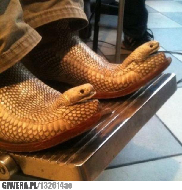 Moda męska,wąż,skóra węża,głowa