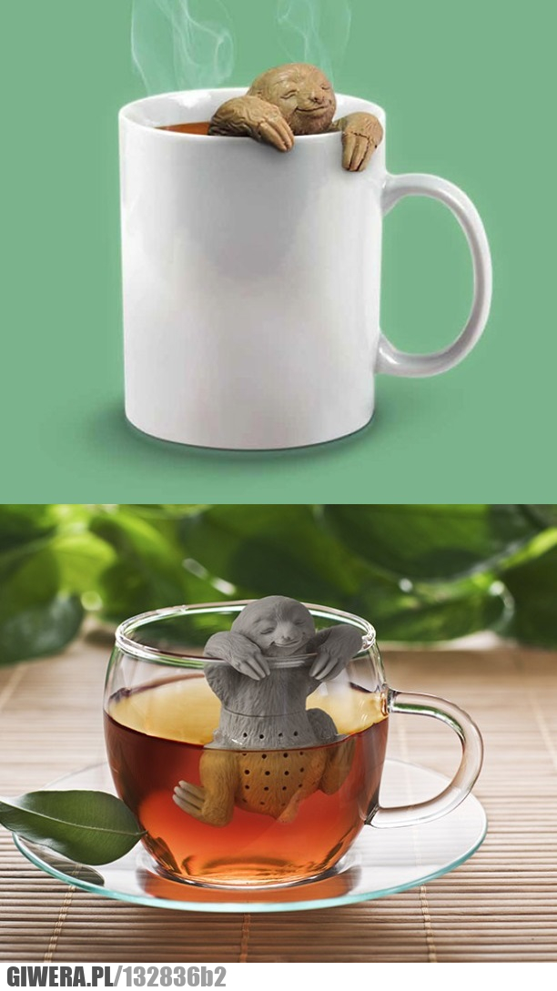 Leniwiec,Herbata,parzenie