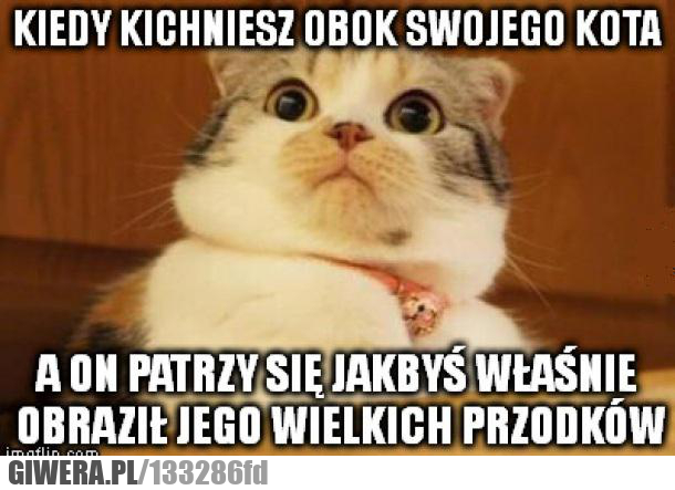 kiedy kichniesz