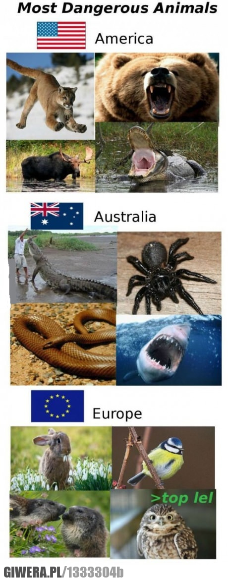 zwierzęta,niebezpieczne,