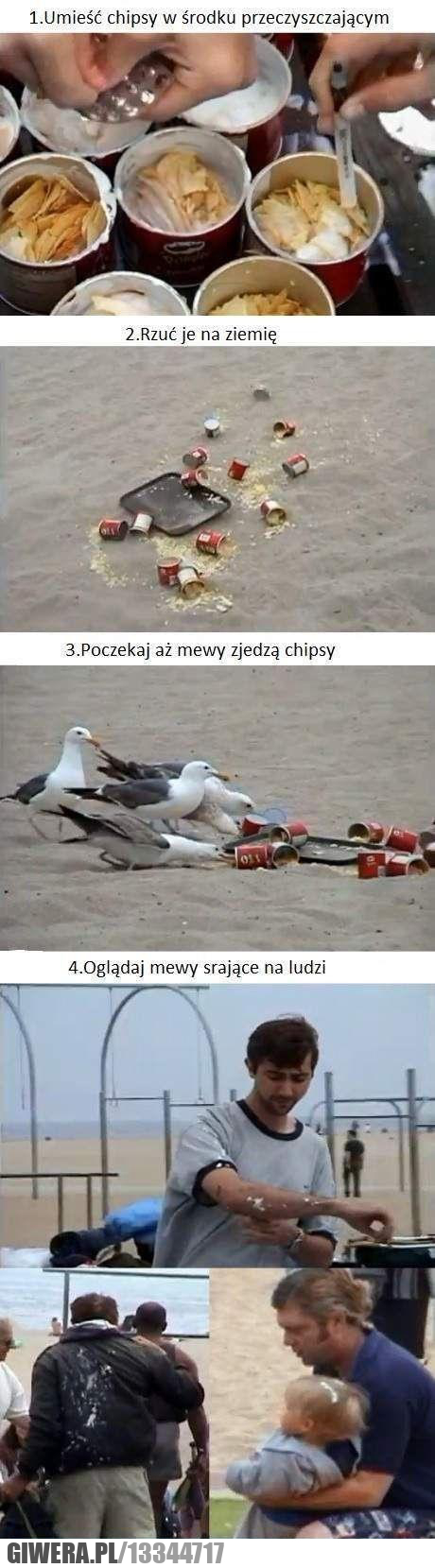 plaża,troll,