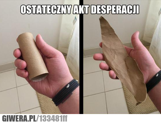 desperacja,toaleta,papier toaletowy,sranie