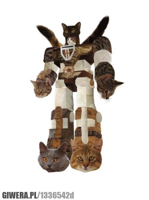 Kotozord,kot,transformers