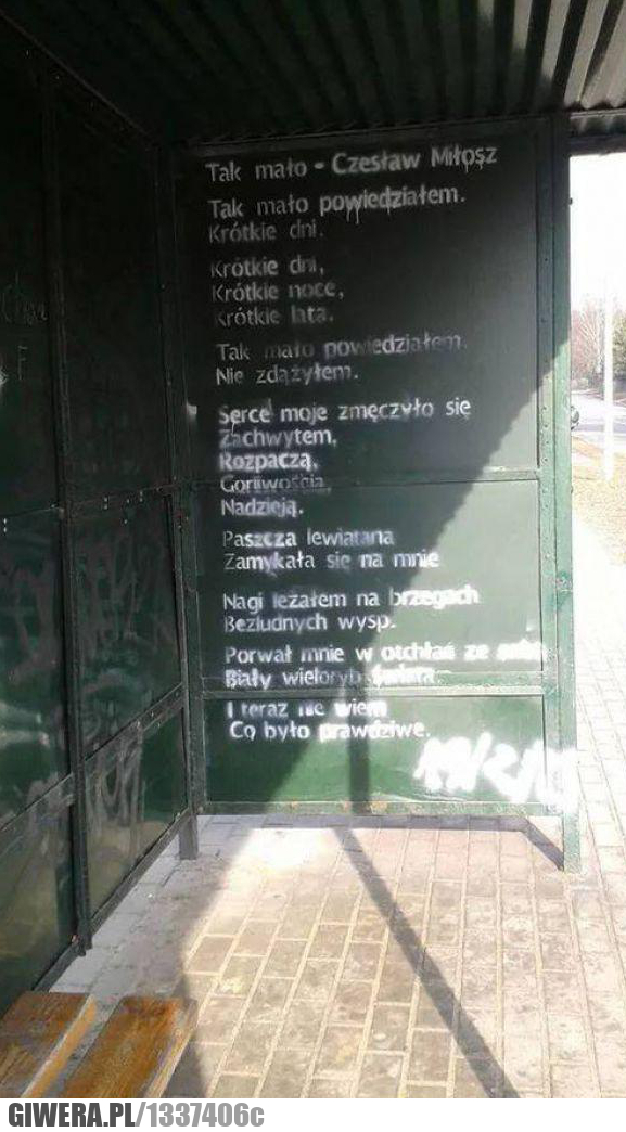 wiersz, miłosz, czesław