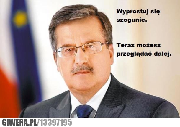 szogun,wyprostuj się,szogunie,